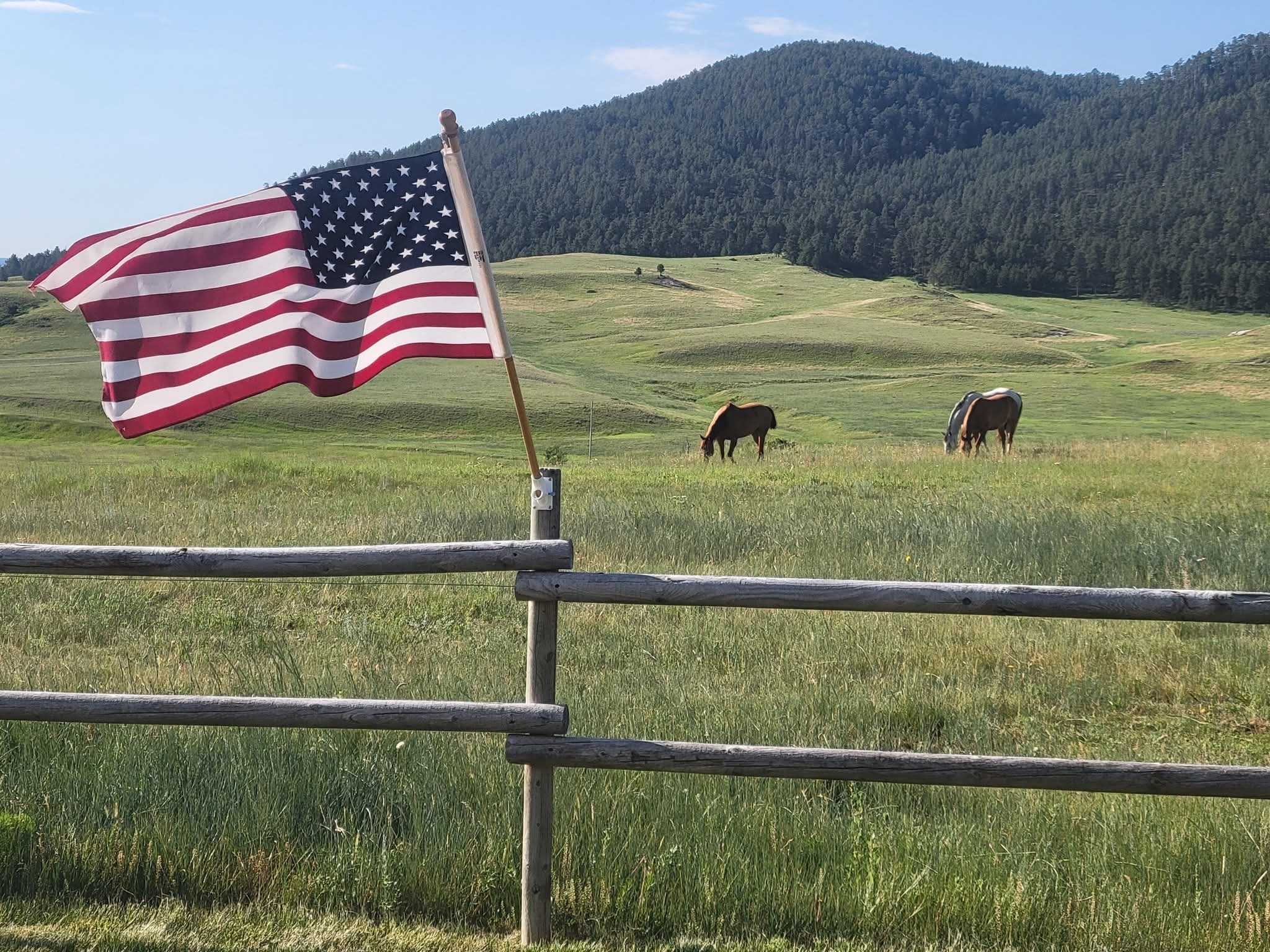 A large stack of hay bales inside a storage shed, bales of hay. close-up, clusters, crop, covered, drying, grouping, harve...