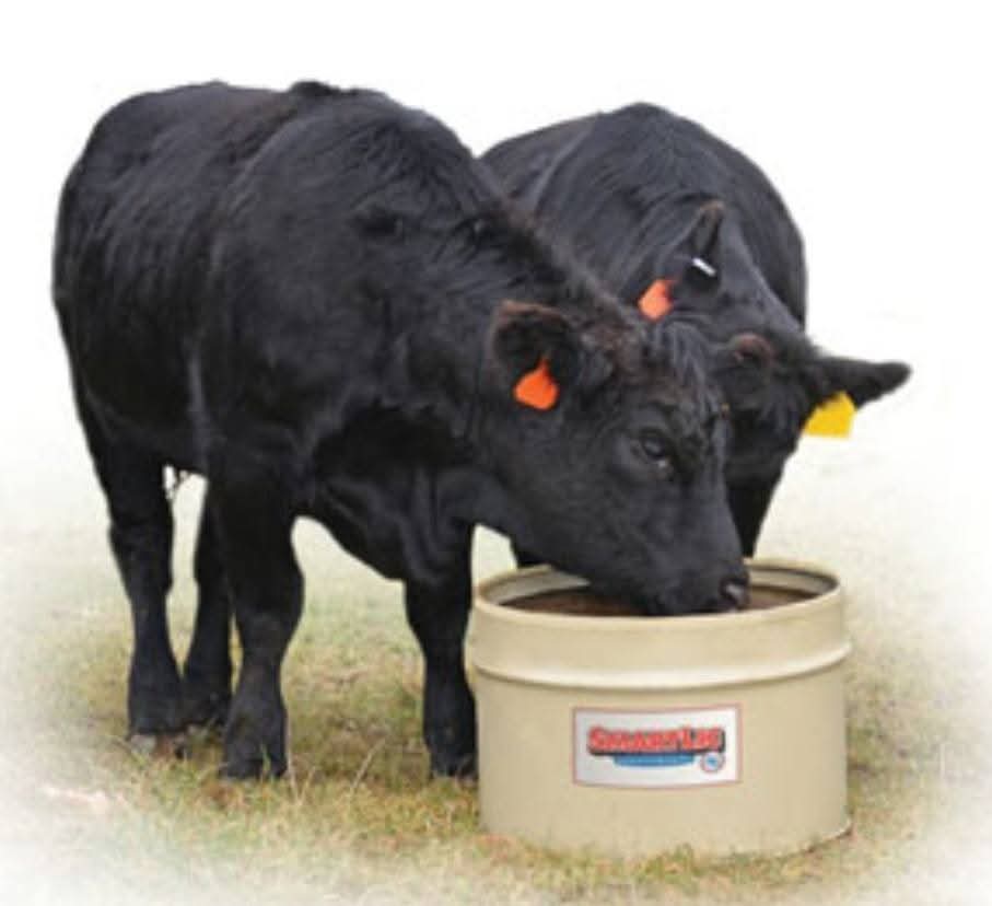 Bulk mineral tubs prepared for herd supplementation.